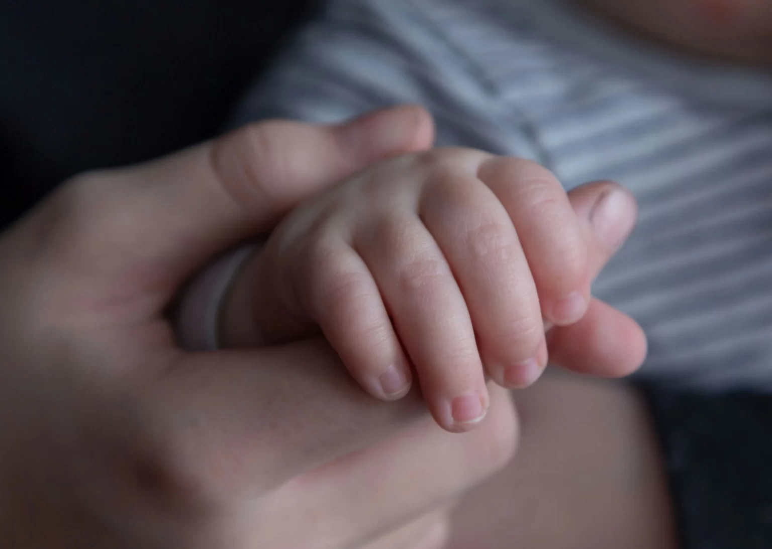 Adult holding the small hand of an infant.  