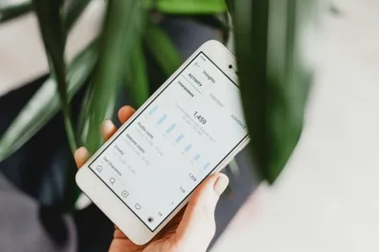 Person holding a phone showing social media analytic information. 